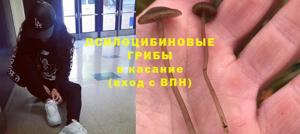 ПСИЛОЦИБИНОВЫЕ ГРИБЫ Арсеньев