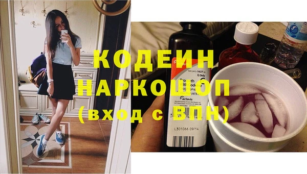 ГАЛЛЮЦИНОГЕННЫЕ ГРИБЫ Аркадак