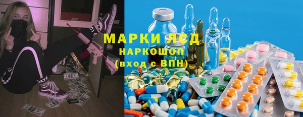 ГАЛЛЮЦИНОГЕННЫЕ ГРИБЫ Аркадак