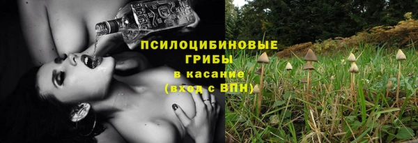ГАЛЛЮЦИНОГЕННЫЕ ГРИБЫ Аркадак
