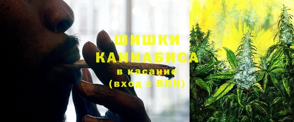 ГАЛЛЮЦИНОГЕННЫЕ ГРИБЫ Аркадак