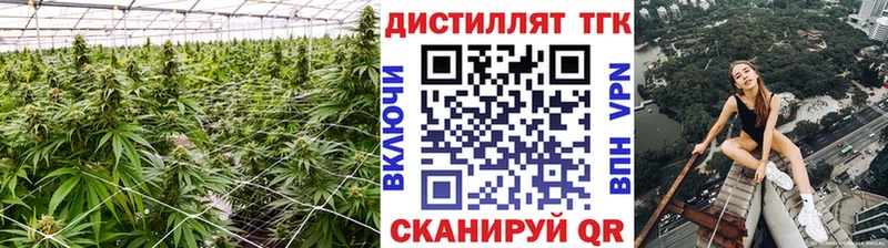Купить  Нерехта  ТГК THC oil 