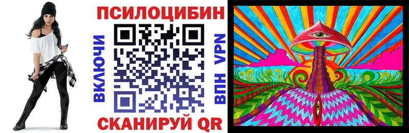 Галлюциногенные грибы Cubensis  Купить  Нерехта 